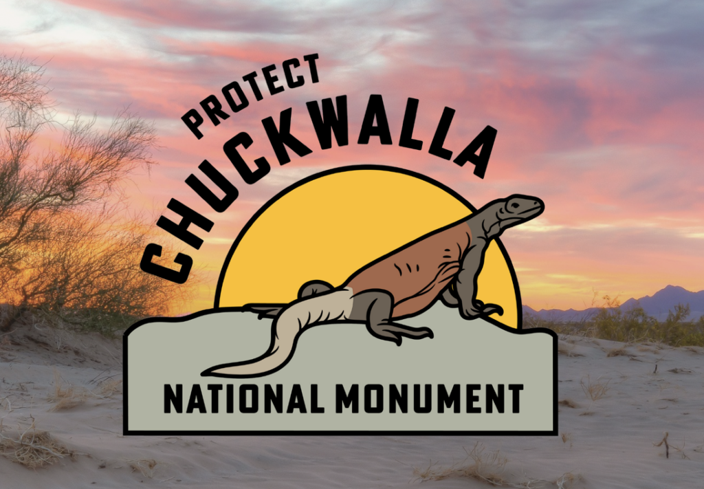 Protect Chuckwalla National Monument. Sunset in Chuckwalla with logo overlaid.