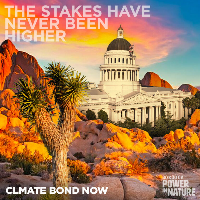 The Stakes have never been higher. Climate Bond Now. Power In Nature.
