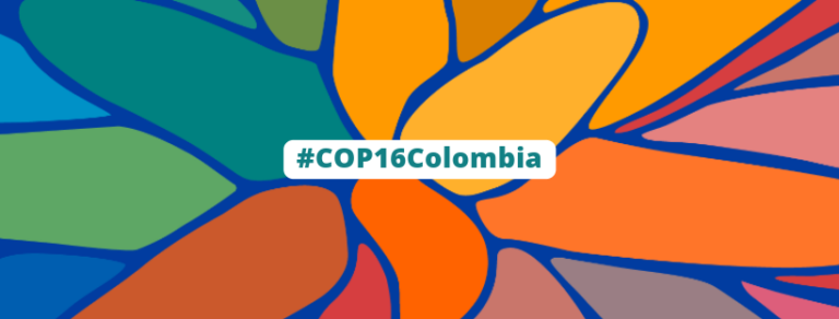 #COP16 Colombia