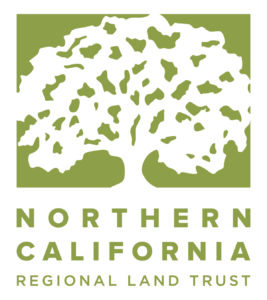 Image of logo with outline of white tree over brownish green background with words "Northern California Regional Land Trust" underneath